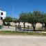 Grundstück zu verkaufen in San Luis Potosi, San Luis Potosi, San Luis Potosi, San Luis Potosi
