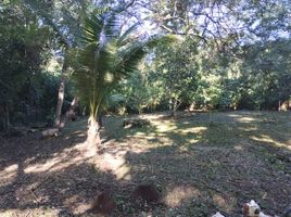  Grundstück zu verkaufen in Othon P Blanco, Quintana Roo, Othon P Blanco