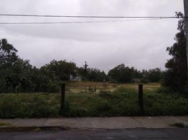  Land for sale in Tizayuca, Hidalgo, Tizayuca