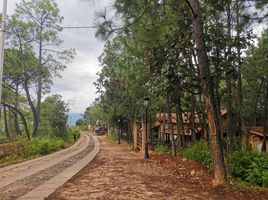  Terrain for sale in Mascota, Jalisco, Mascota