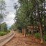  Land for sale in Mascota, Jalisco, Mascota