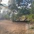  Land for sale in La Paz, Baja California Sur, La Paz, Baja California Sur