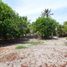  Terreno (Parcela) en venta en Othon P Blanco, Quintana Roo, Othon P Blanco, Quintana Roo