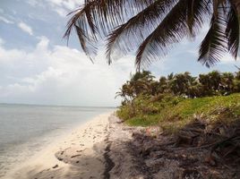  Terreno (Parcela) en venta en Othon P Blanco, Quintana Roo, Othon P Blanco, Quintana Roo