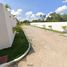  Land for sale in Cunduacan, Tabasco, Cunduacan
