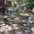 2 Bedroom House for sale in Montemorelos, Nuevo Leon, Montemorelos