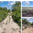  Terreno (Parcela) en venta en Yucatán, Yaxkukul, Yucatán