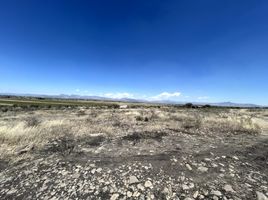  Land for sale in Silao, Guanajuato, Silao
