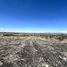  Land for sale in Silao, Guanajuato, Silao