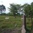  Land for sale in Manlio Fabio Altamirano, Veracruz, Manlio Fabio Altamirano