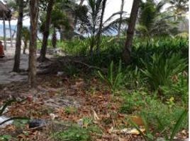 Terrain à vendre à Othon P Blanco, Quintana Roo, Othon P Blanco