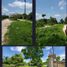 Terrain à vendre à Othon P Blanco, Quintana Roo, Othon P Blanco