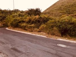  토지을(를) 누에 보 레온에서 판매합니다., 몬테레이, 누에 보 레온