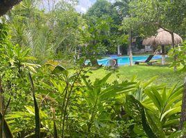  Grundstück zu verkaufen in Othon P Blanco, Quintana Roo, Othon P Blanco