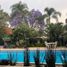 7 Schlafzimmer Haus zu vermieten in Cuernavaca, Morelos, Cuernavaca, Morelos