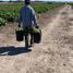  Grundstück zu verkaufen in Guerrero, Coahuila, Guerrero