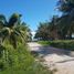  Grundstück zu verkaufen in Othon P Blanco, Quintana Roo, Othon P Blanco