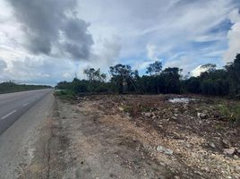  Terreno (Parcela) en venta en Cancún, Quintana Roo, Cancún, Quintana Roo
