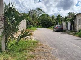  Grundstück zu verkaufen in Othon P Blanco, Quintana Roo, Othon P Blanco