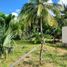  Grundstück zu verkaufen in Othon P Blanco, Quintana Roo, Othon P Blanco