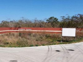  Grundstück zu verkaufen in Yaxkukul, Yucatan, Yaxkukul