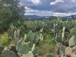  Grundstück zu verkaufen in Axapusco, Mexico, Axapusco, Mexico