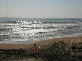  Grundstück zu verkaufen in Tampico Alto, Veracruz, Tampico Alto, Veracruz