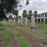  Land for sale in Acatlan De Juarez, Jalisco, Acatlan De Juarez