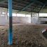 Land for sale in Acatlan De Juarez, Jalisco, Acatlan De Juarez