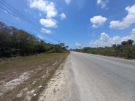 Terrain à vendre à Cancun, Quintana Roo, Cancun