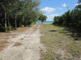  Grundstück zu verkaufen in Othon P Blanco, Quintana Roo, Othon P Blanco