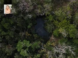  Grundstück zu verkaufen in Cozumel, Quintana Roo, Cozumel