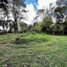  Grundstück zu verkaufen in Xico, Veracruz, Xico