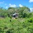  Land for sale in Ixil, Yucatan, Ixil