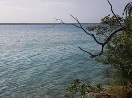 Terrain à vendre à Othon P Blanco, Quintana Roo, Othon P Blanco