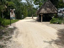  Grundstück zu verkaufen in Lazaro Cardenas, Quintana Roo, Lazaro Cardenas