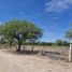 Terrain à vendre à Mexquitic De Carmona, San Luis Potosi, Mexquitic De Carmona