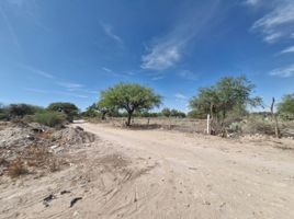 Terrain à vendre à Mexquitic De Carmona, San Luis Potosi, Mexquitic De Carmona
