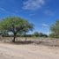 Terrain à vendre à Mexquitic De Carmona, San Luis Potosi, Mexquitic De Carmona