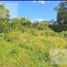  Terreno (Parcela) en venta en Merida, Yucatán, Merida