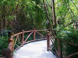  Grundstück zu verkaufen in Cozumel, Quintana Roo, Cozumel