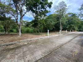  Terreno (Parcela) en venta en Xico, Veracruz, Xico