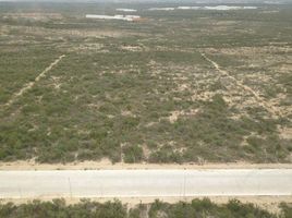  Land for sale in Marin, Nuevo Leon, Marin