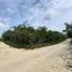 Terrain à vendre à Cancun, Quintana Roo, Cancun
