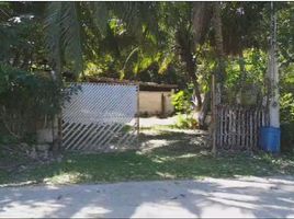  Grundstück zu verkaufen in Othon P Blanco, Quintana Roo, Othon P Blanco