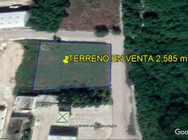  Terreno (Parcela) en venta en Othon P Blanco, Quintana Roo, Othon P Blanco, Quintana Roo