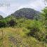  Land for sale in Acajete, Veracruz, Acajete