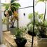 Maison 3 chambre à vendre à Coatzacoalcos, Veracruz, Coatzacoalcos
