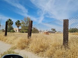  Grundstück zu verkaufen in Chihuahua, Chihuahua, Chihuahua, Chihuahua