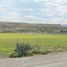 Land for sale in Sabinas Hidalgo, Nuevo Leon, Sabinas Hidalgo